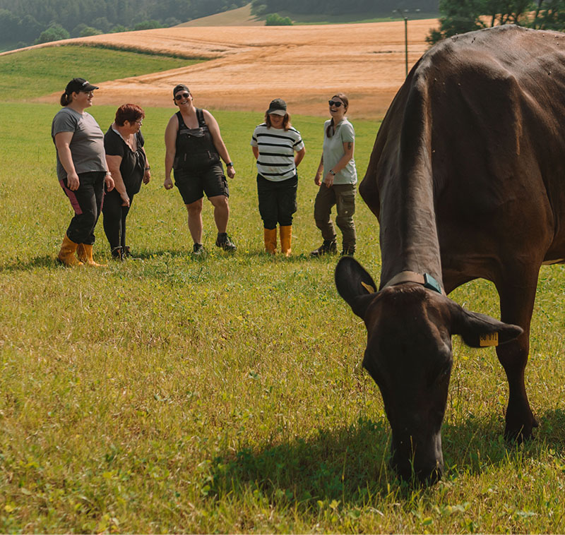 Gruppe von Personen auf einer Wiese neben einer Kuh.